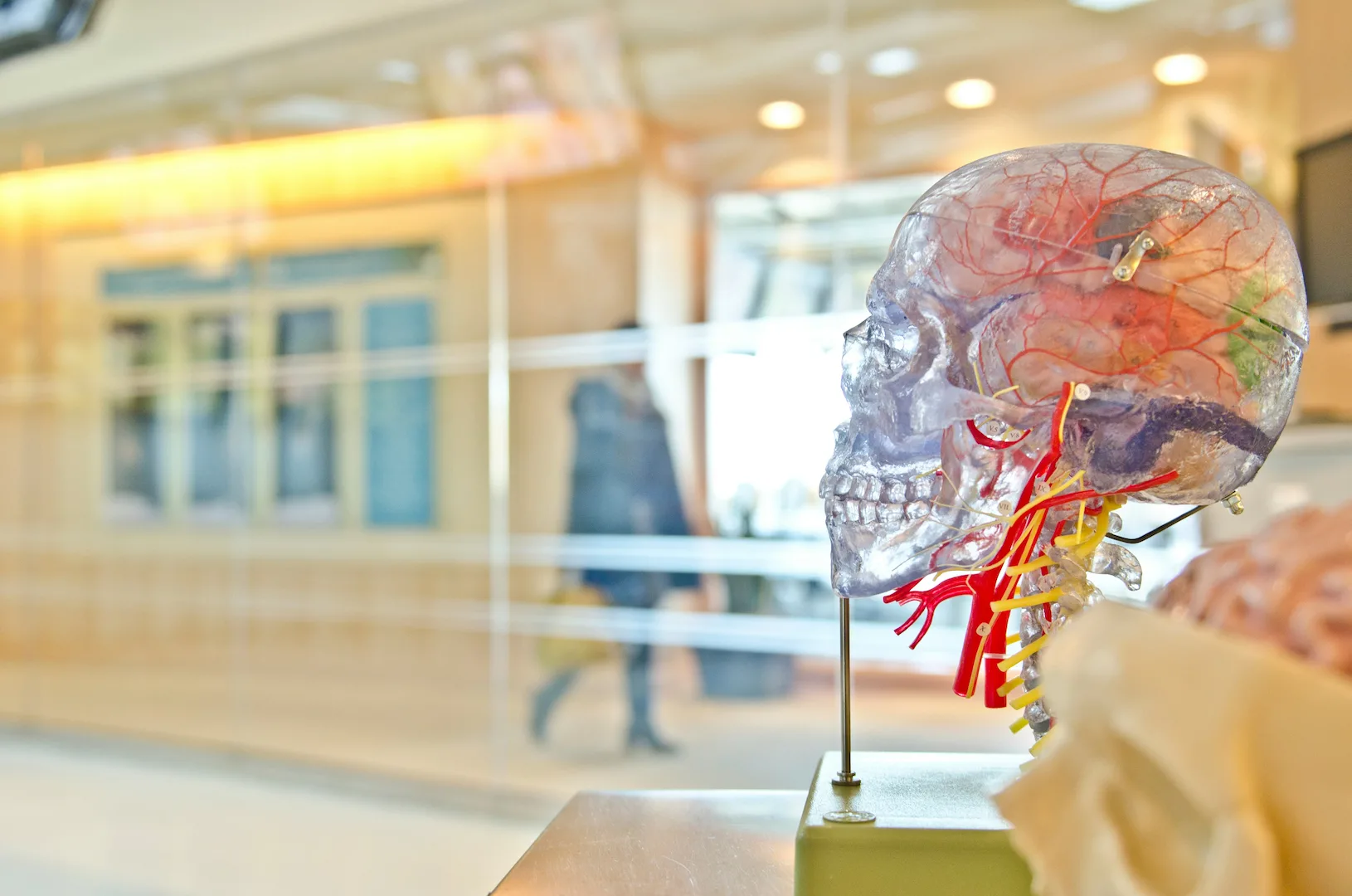 Helicobacter pylori Infection Is Associated with Long-Term Cognitive Decline in Older Adults: A Two-Year Follow-Up Study
