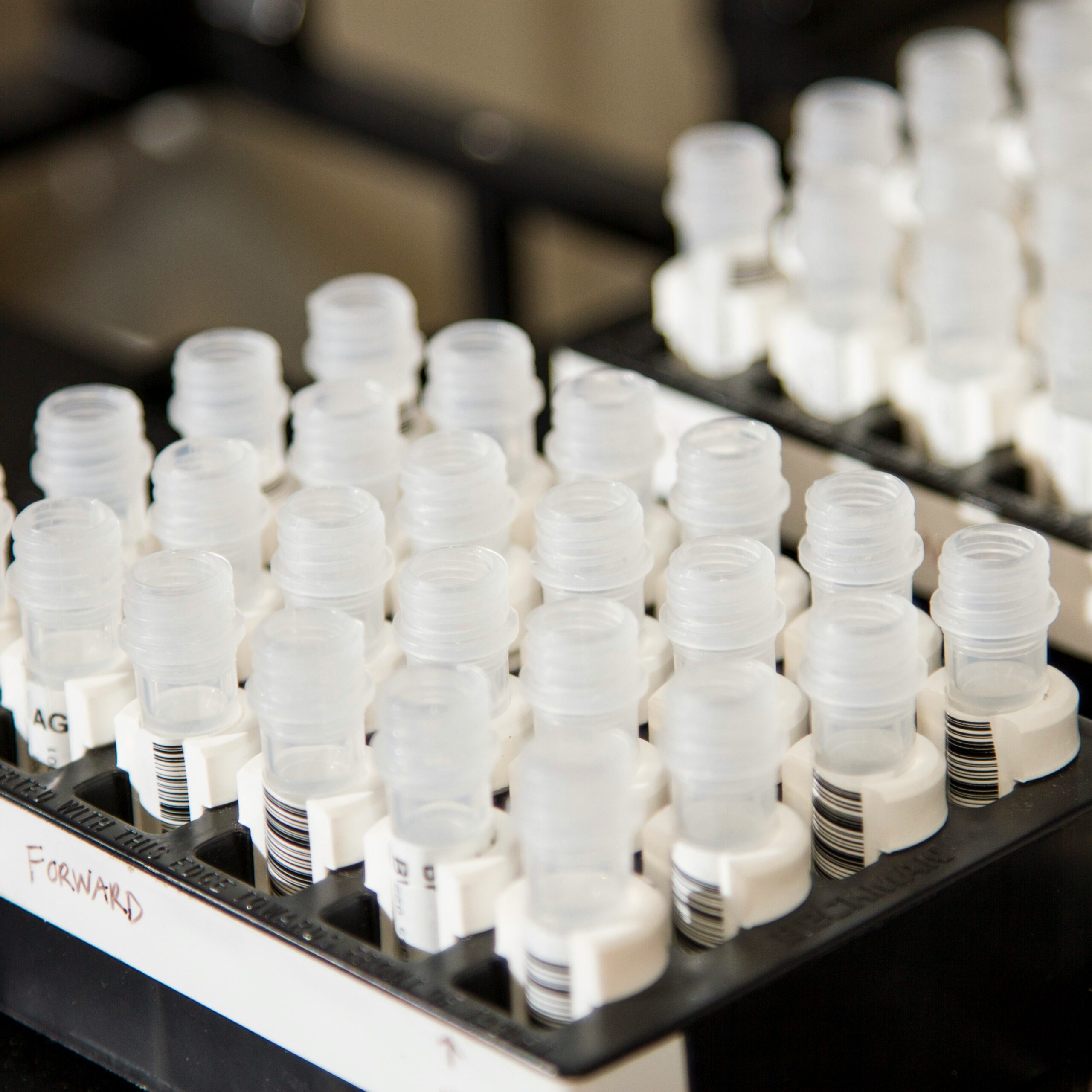 Regulatory Effects of Probiotics on Anxiety and Depression‑Like Behaviors in H. pylori‑Infected Rats