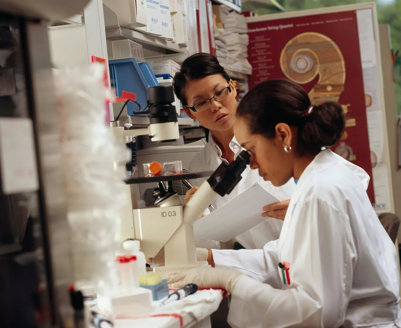 Family Well-Being & Key Gender Drivers on Labour Market