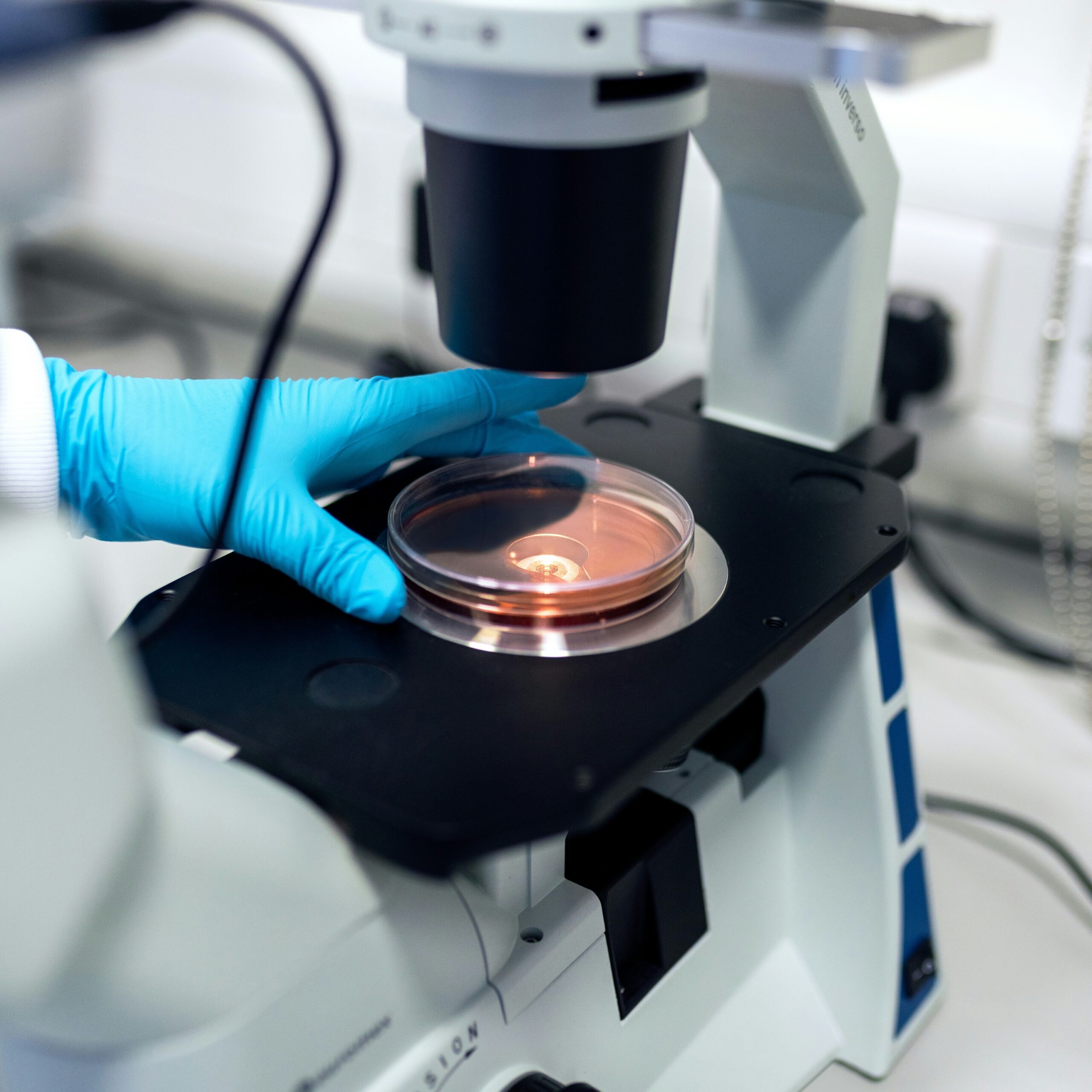 Rapamycin Attenuates Anxiety and Depressive Behavior Induced by Helicobacter pylori in Association with Reduced Circulating Levels of Ghrelin